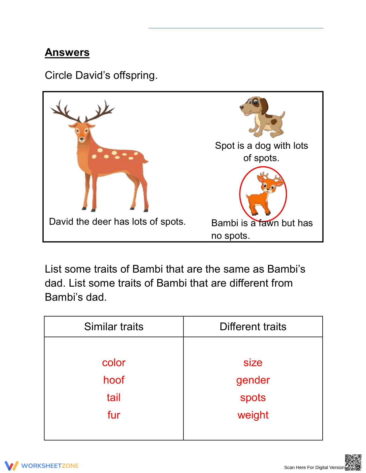 Essential Grade 2 Animal Traits and Offspring Worksheet - Page 2