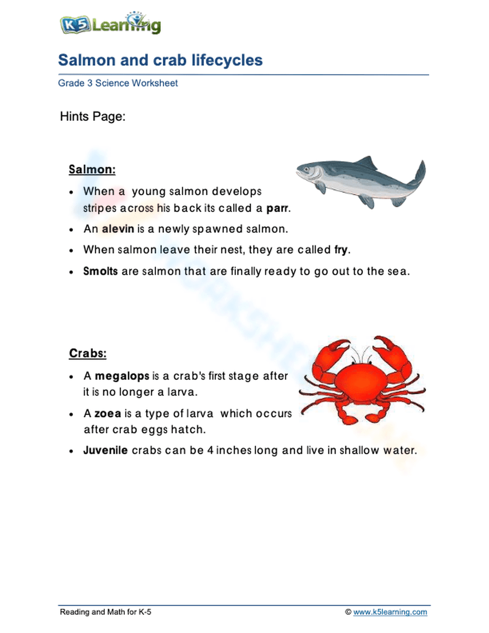 Essential Salmon and Crab Life Cycles Worksheet | Grade 1 - Page 2