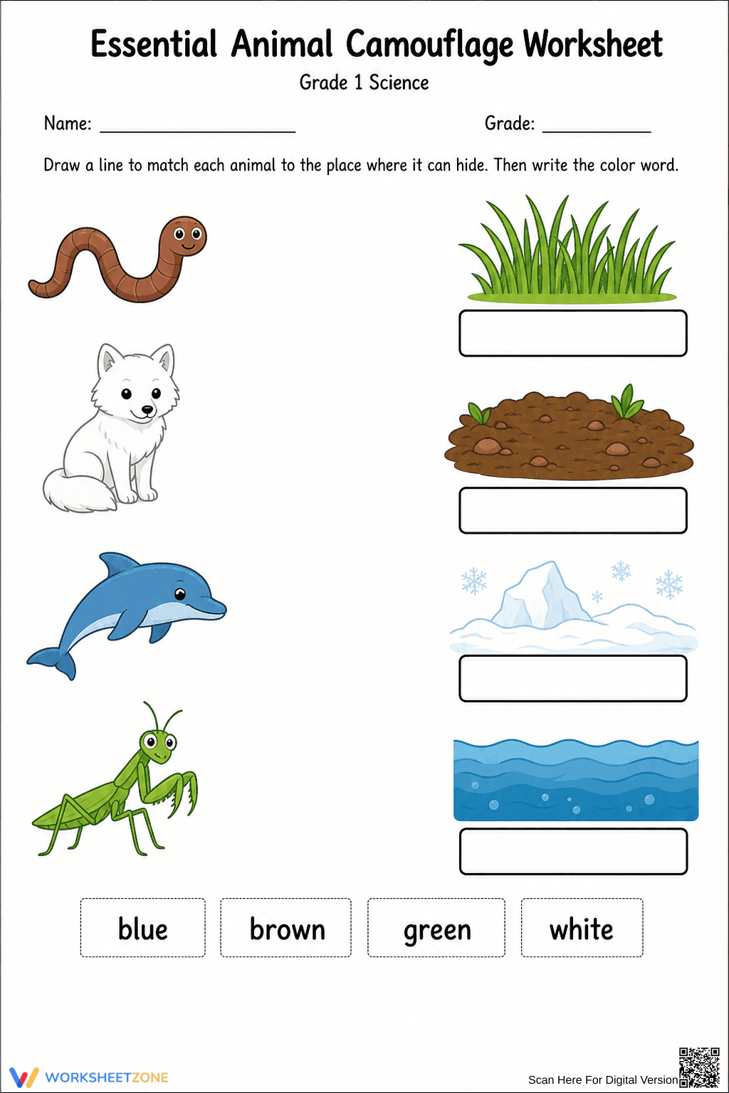 Essential Animal Camouflage Worksheet | Grade 1 Science - Page 2