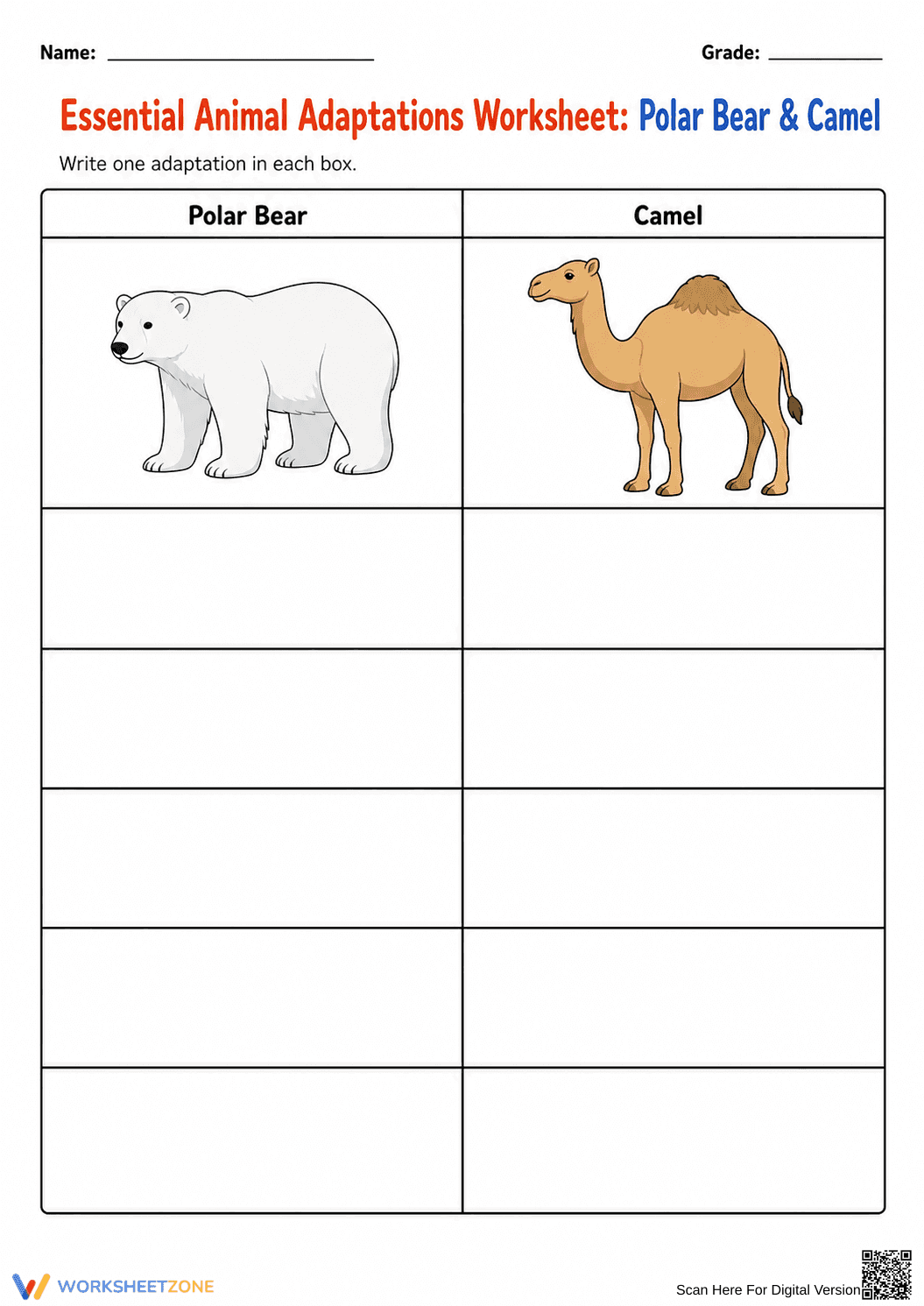 Essential Animal Adaptations Worksheet | Grade 2-3 - Page 2