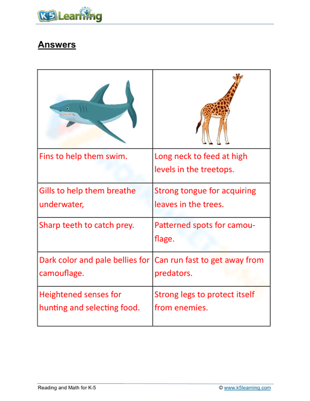 Essential Animal Adaptations Worksheet | Grade 2 Science - Page 2