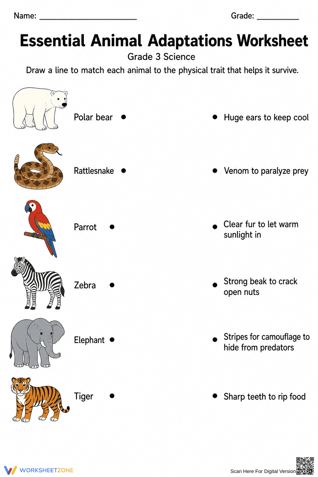 Essential Animal Adaptations Worksheet | Grade 3 Science - Page 2