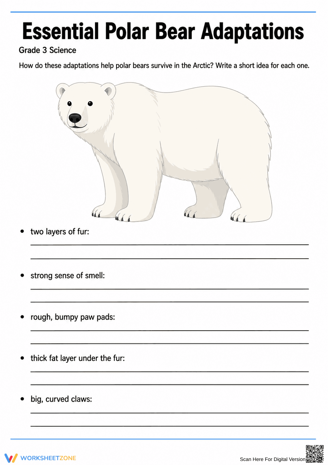 Essential Polar Bear Adaptations Worksheet | Grade 3 Science - Page 2