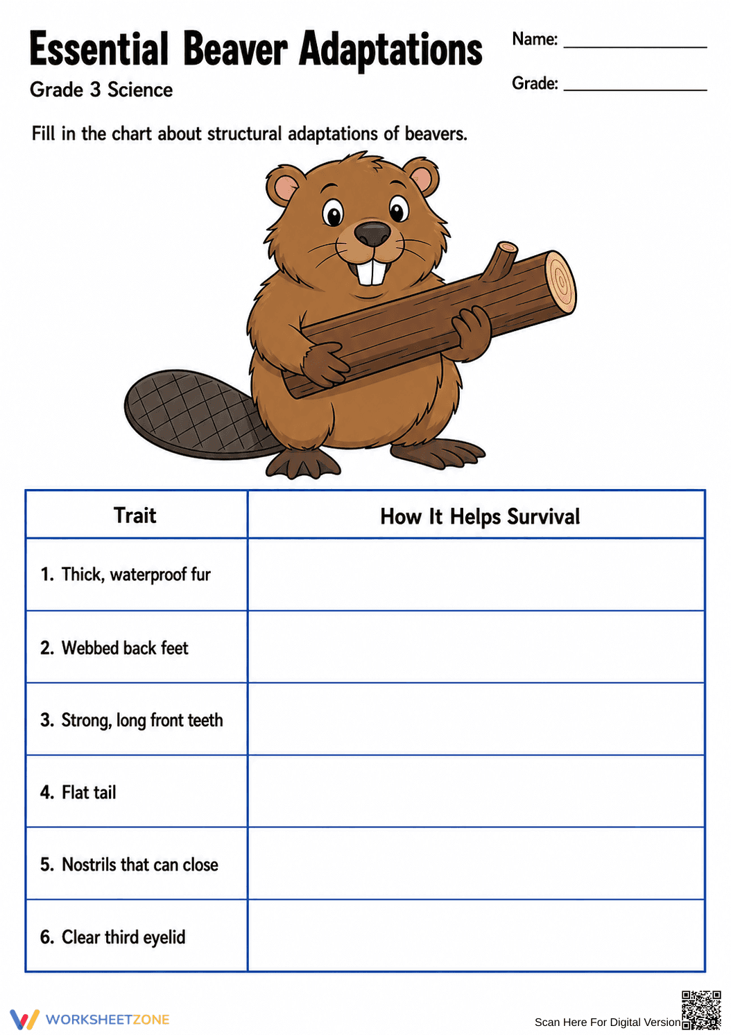 Grade 3 Beaver Adaptations — Printable No-Prep Worksheet - Page 2