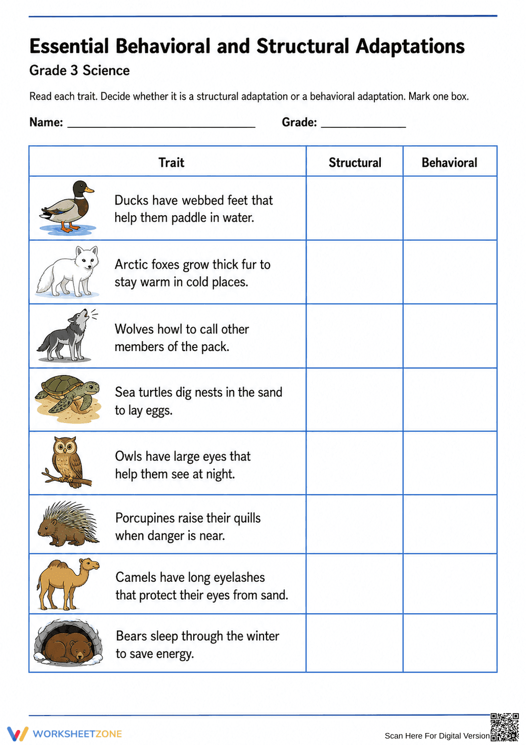 Essential Grade 3 Adaptations Worksheet | Printable - Page 2