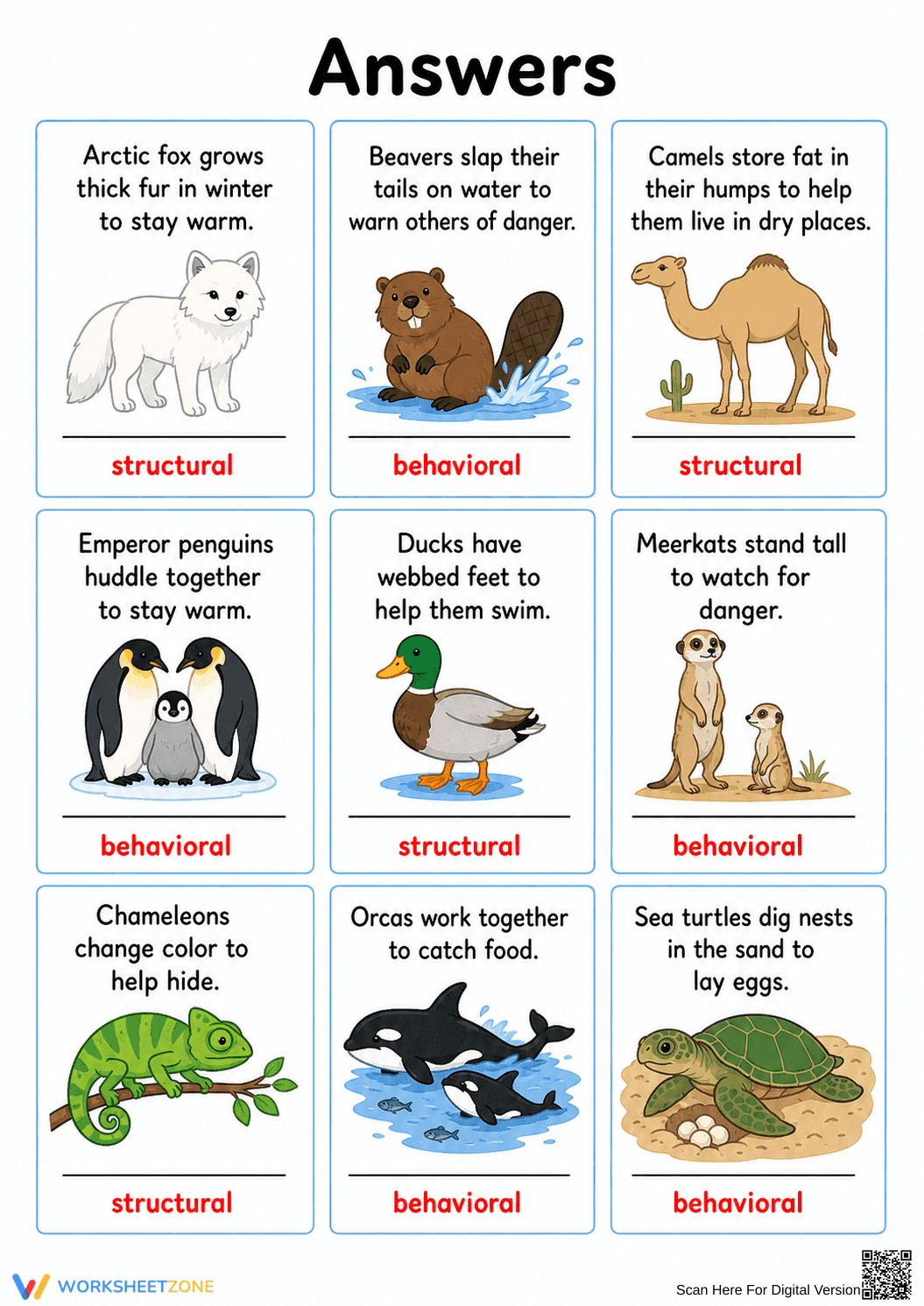 Grade 1 Animal Adaptations — Printable No-Prep Worksheet - Page 2