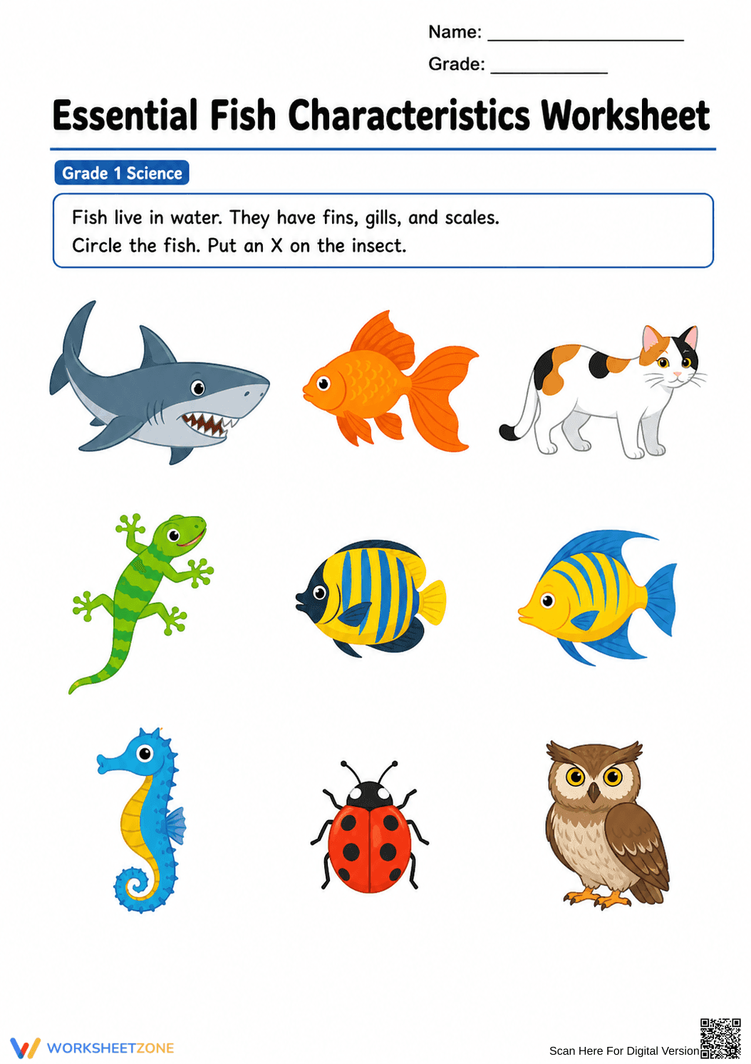 Essential Fish Characteristics Worksheet | Grade 1 Ready - Page 2