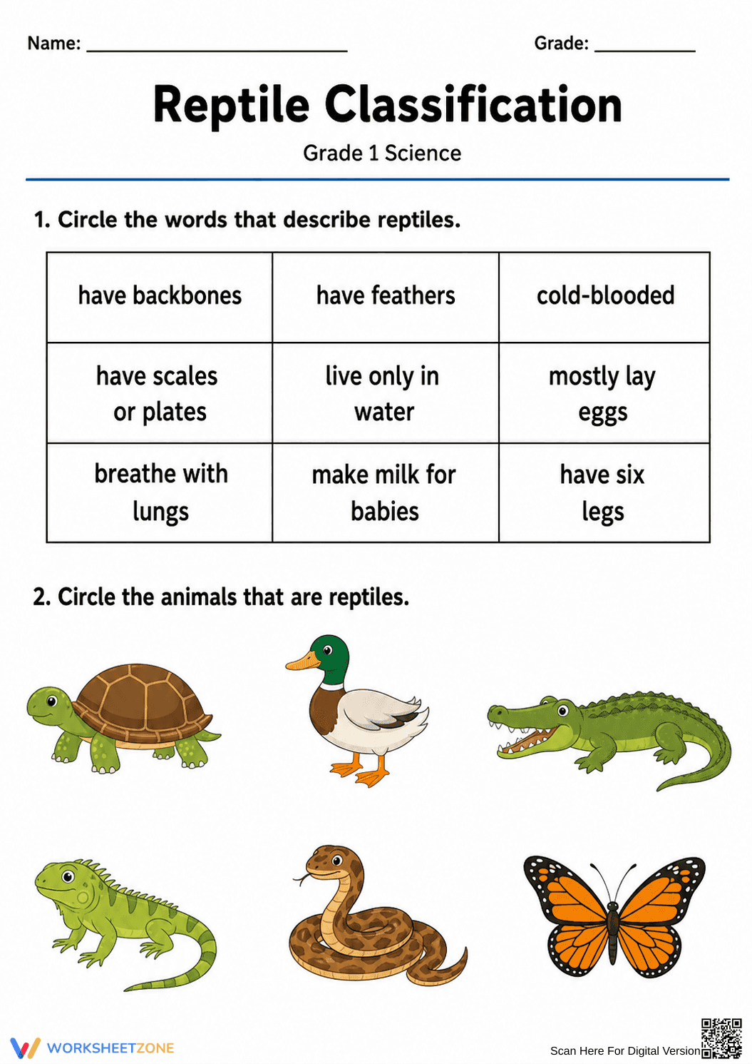 Essential Reptile Classification Worksheet | Grade 1 Ready - Page 2