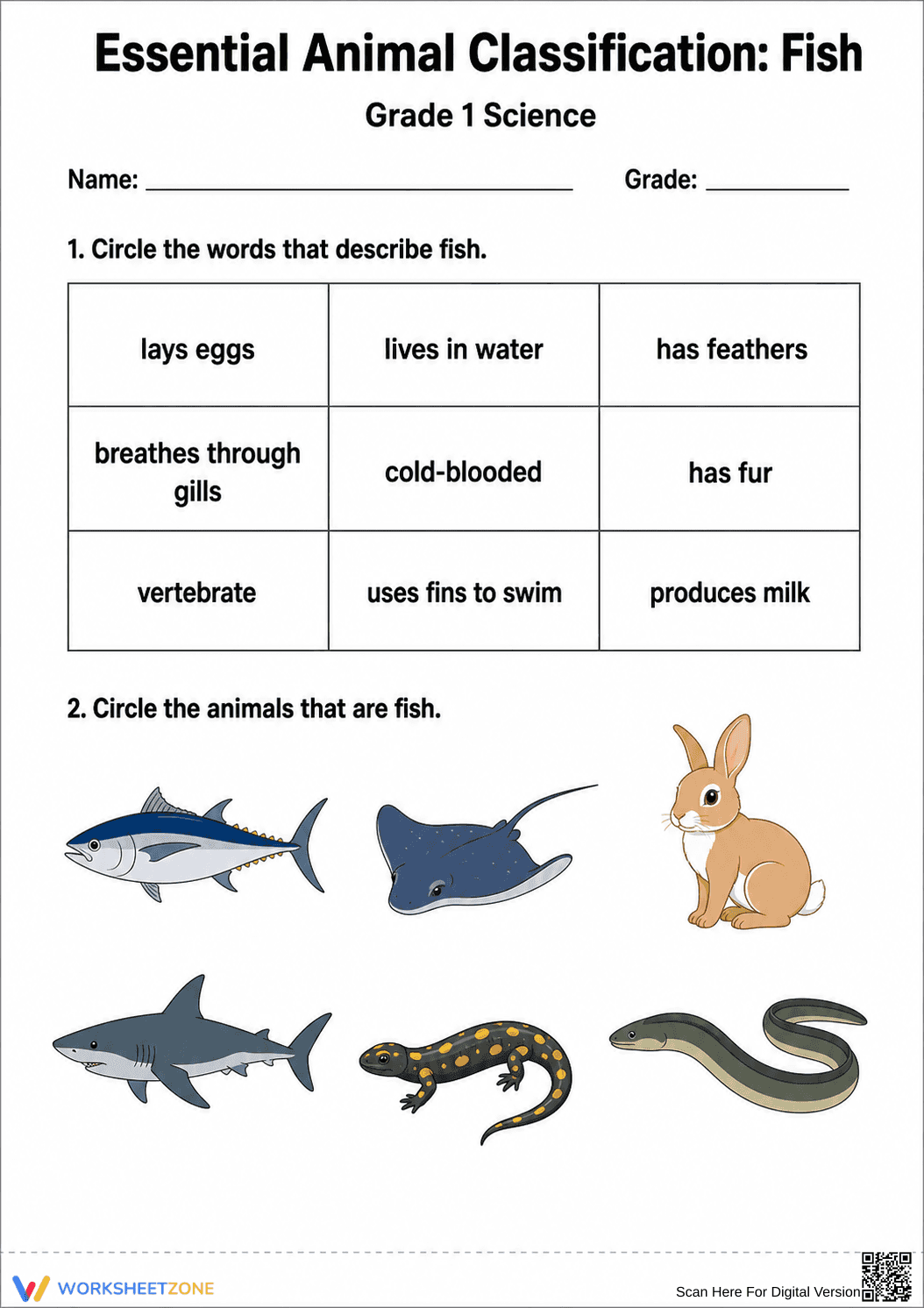 Printable Fish Classification Worksheet | Grade 1 Science - Page 2