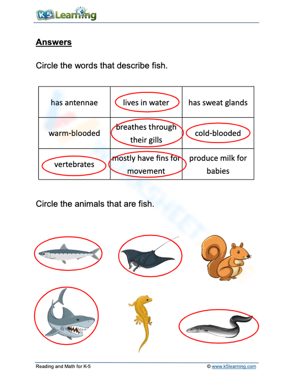 Essential Animal Classification: Fish Worksheet | Grade 1 - Page 2