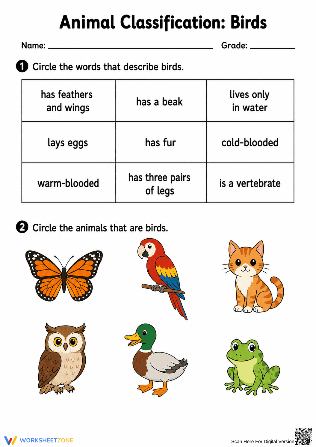 Animal Classification: Birds Worksheet | Grade 1 Essential - Page 2