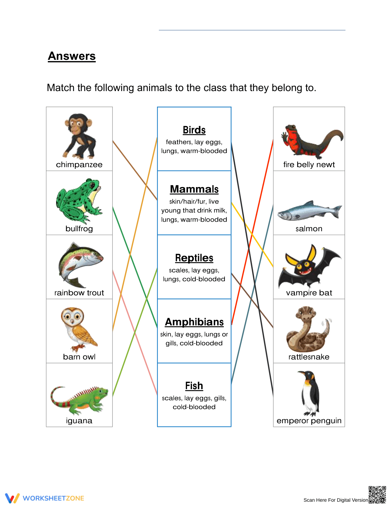 Printable Vertebrate Classification: Grade 3 Science - Page 2