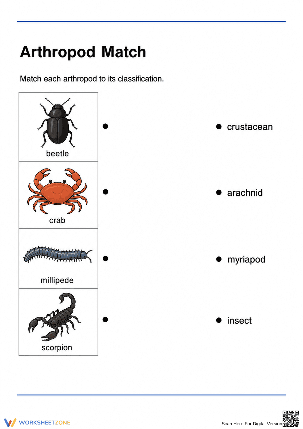 Essential Arthropod Classification Worksheet | Grade 1 Ready - Page 2