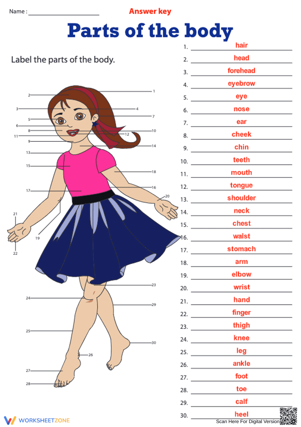 Grade K Human Body Parts — Printable No-Prep Worksheet - Page 2