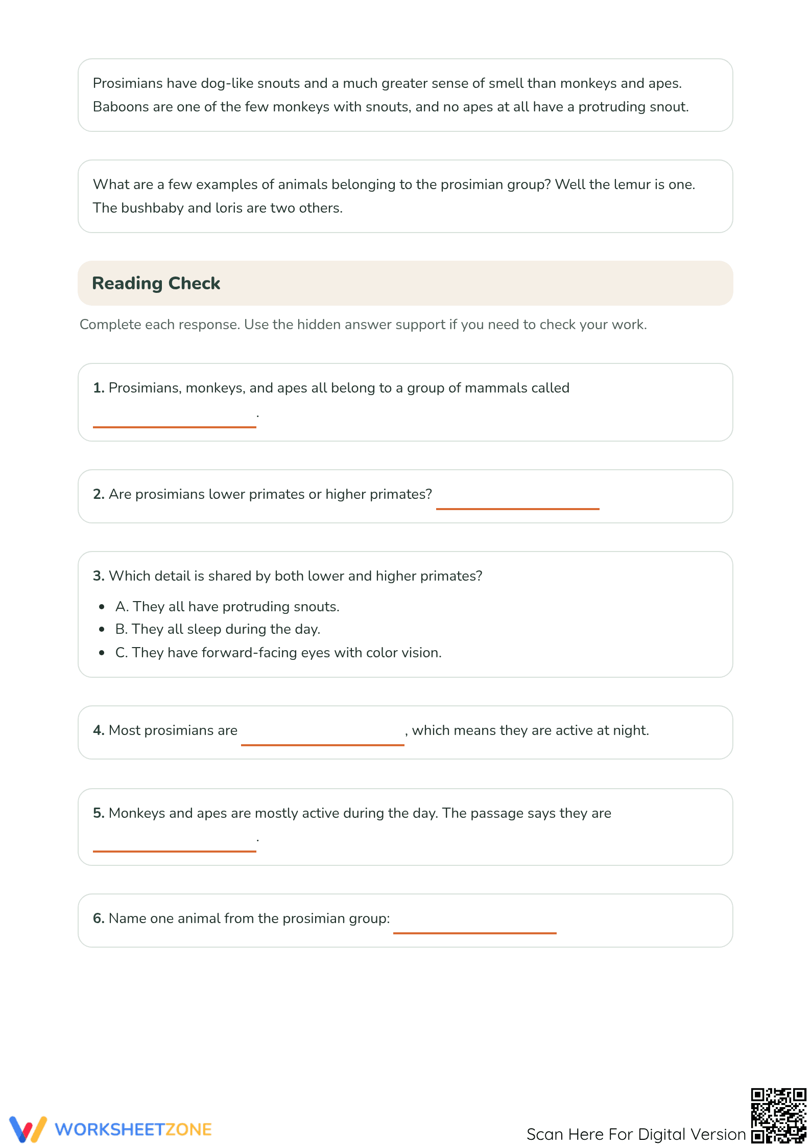Is That Really a Monkey? Worksheet | Grade 3 Printable - Page 2