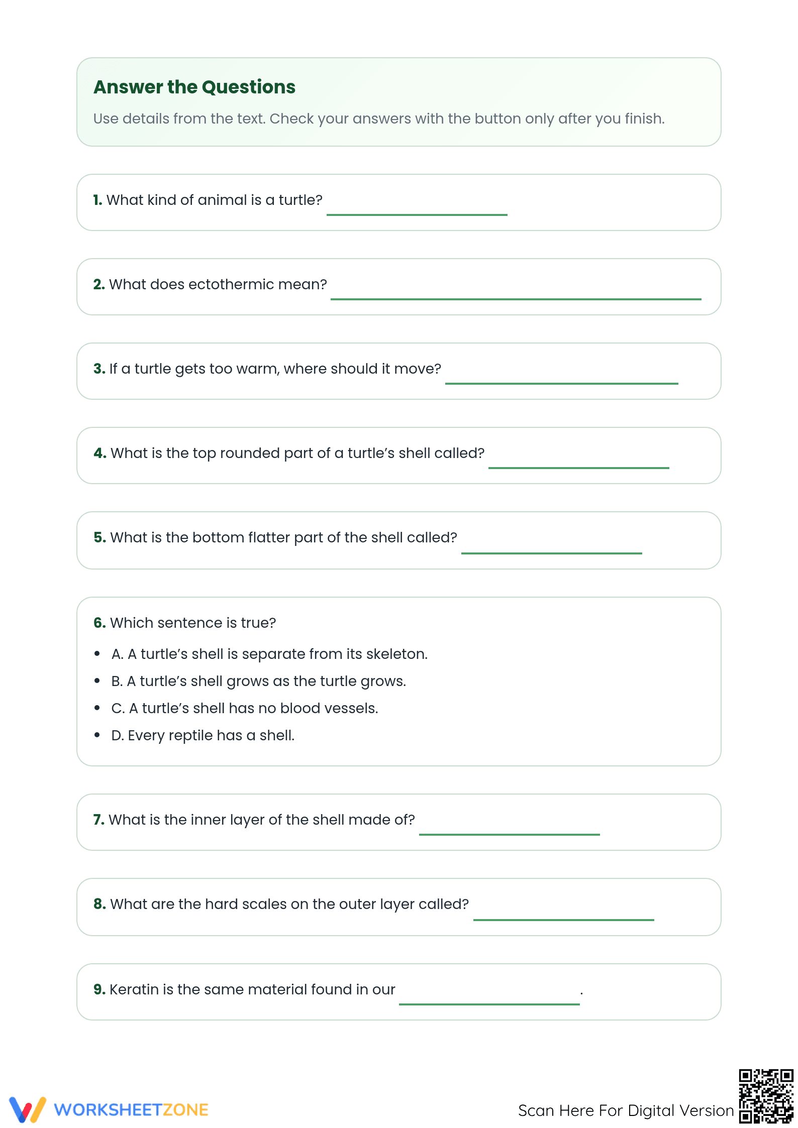 Printable Turtles Reading Comprehension Worksheet | Grade 3 - Page 2