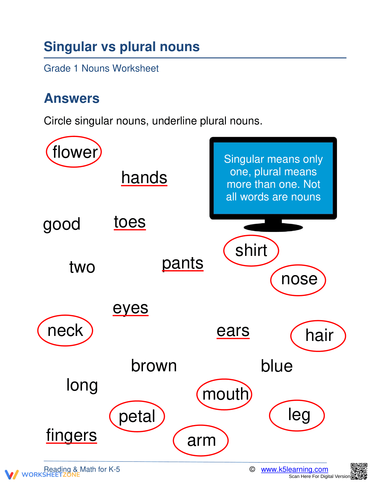 Essential Singular vs Plural Nouns Worksheet | Grade 1 - Page 2