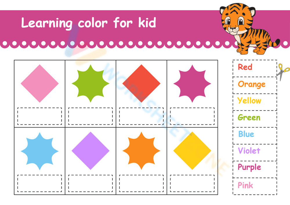Grade 1 Essential Skills — Printable No-Prep Worksheet - Page 8