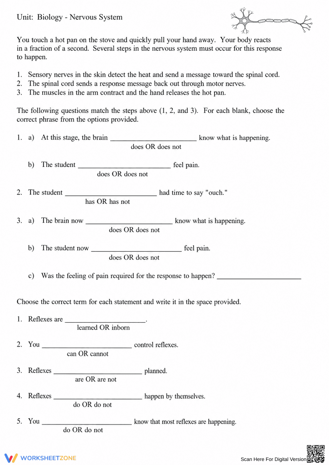 Complete Nervous System Worksheet | Grade 8 Science - Page 23