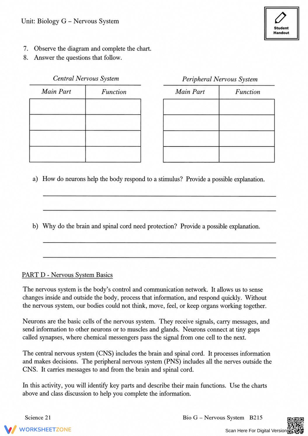 Complete Nervous System Worksheet | Grade 8 Science - Page 33