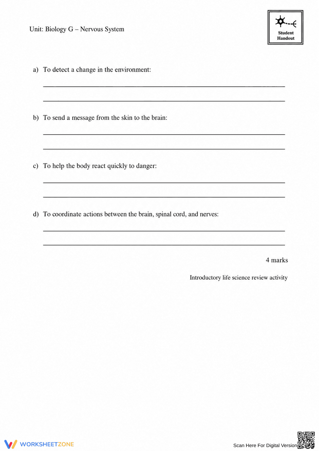 Complete Nervous System Worksheet | Grade 8 Science - Page 36
