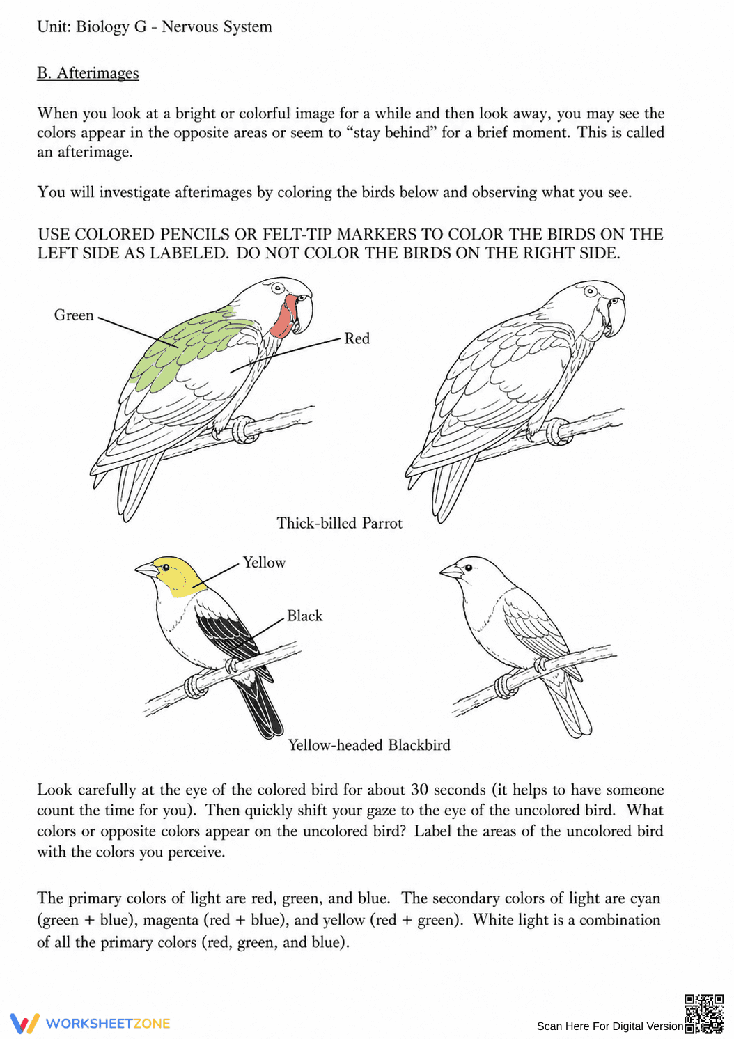 Complete Nervous System Worksheet | Grade 8 Science - Page 39