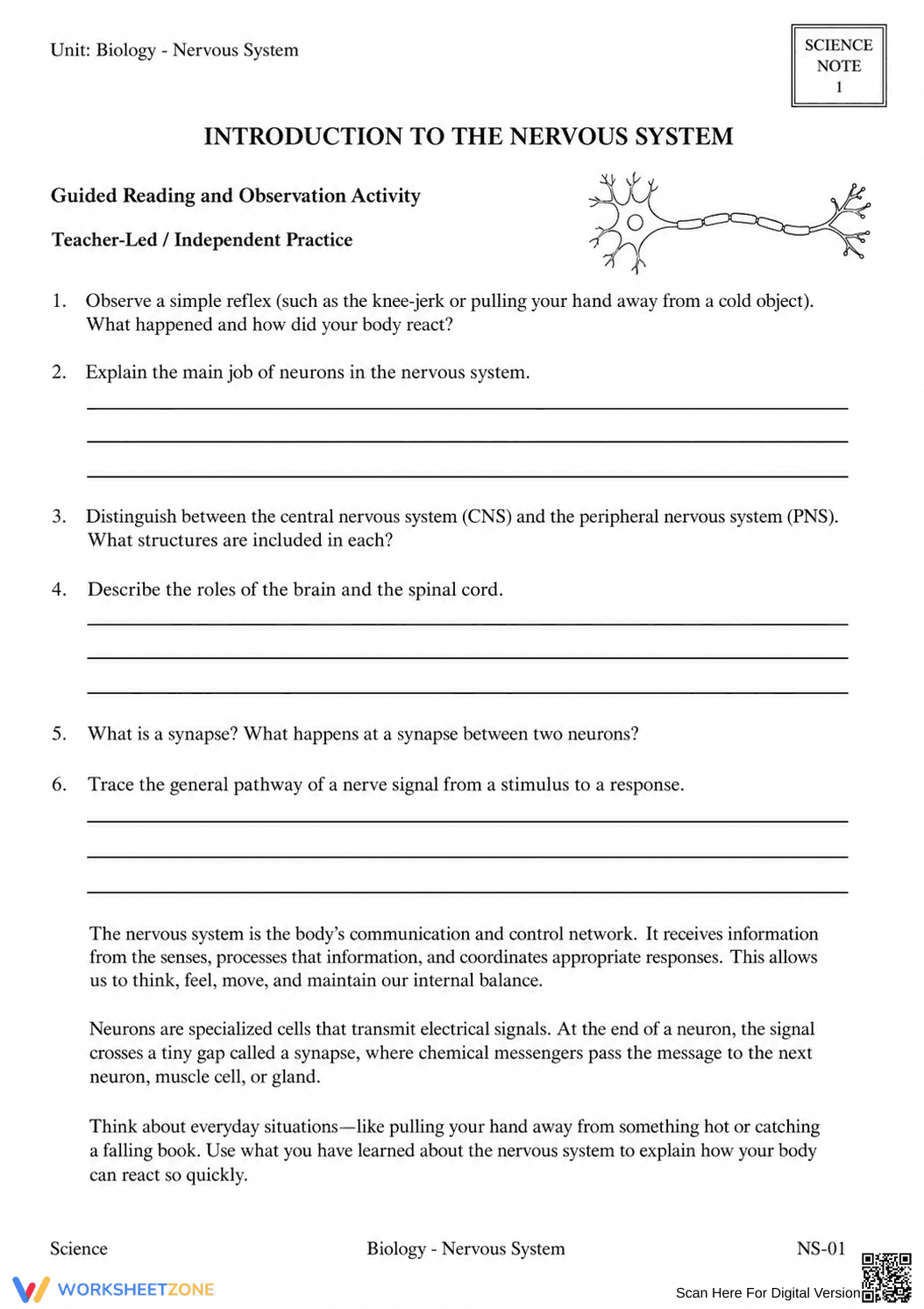 Complete Nervous System Worksheet | Grade 8 Science - Page 44