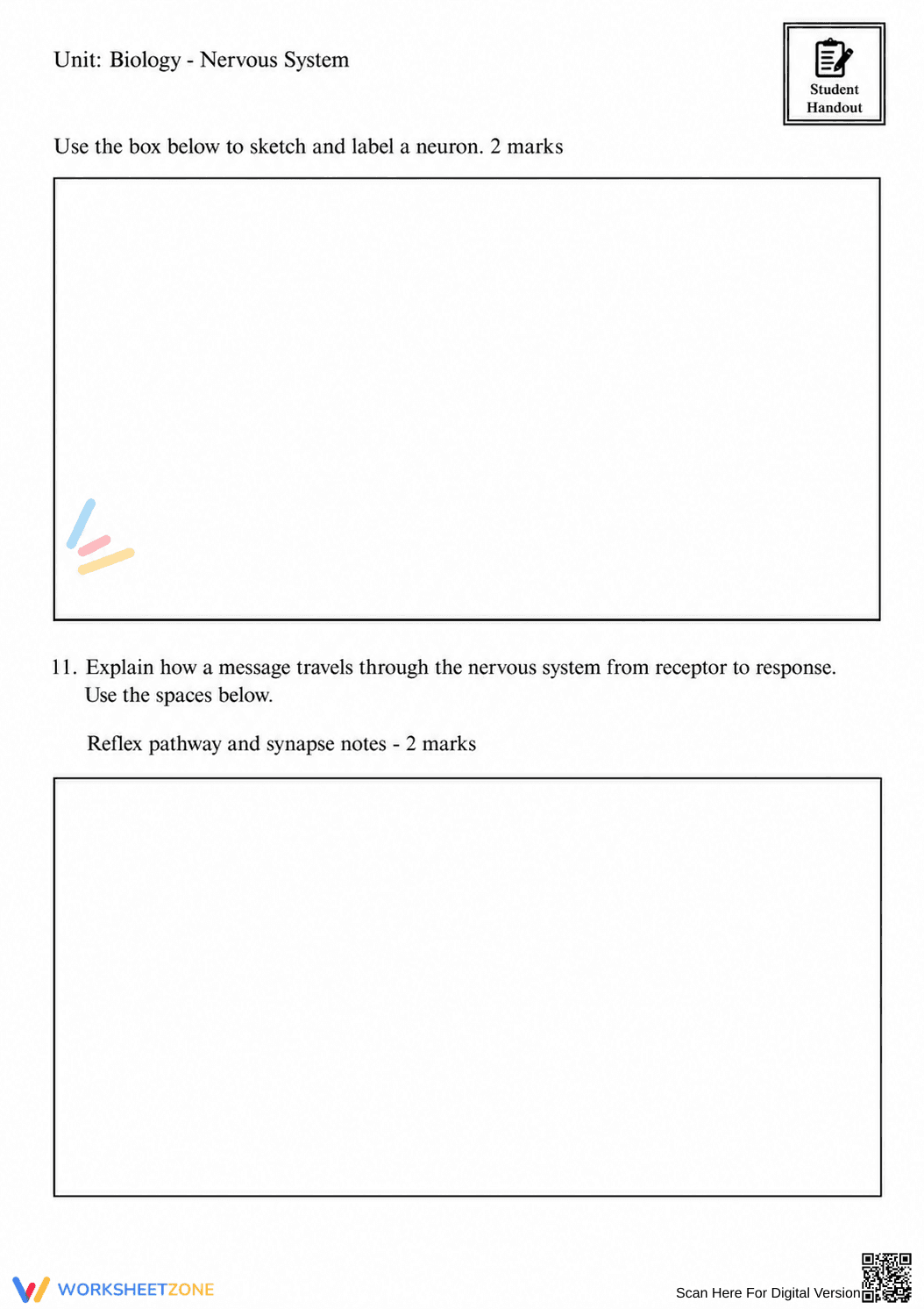 Complete Nervous System Worksheet | Grade 8 Science - Page 51