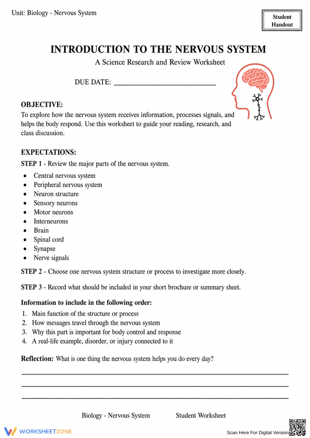Complete Nervous System Worksheet | Grade 8 Science - Page 55