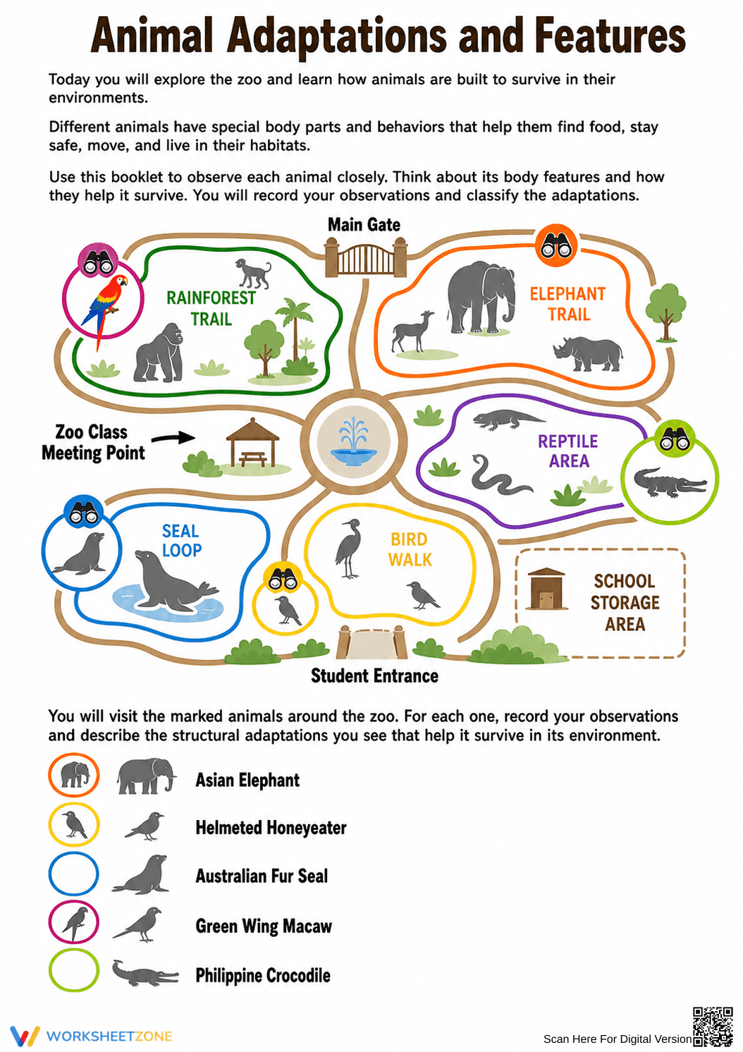 Grade 4 Animal Adaptations — Printable No-Prep Worksheet - Page 2