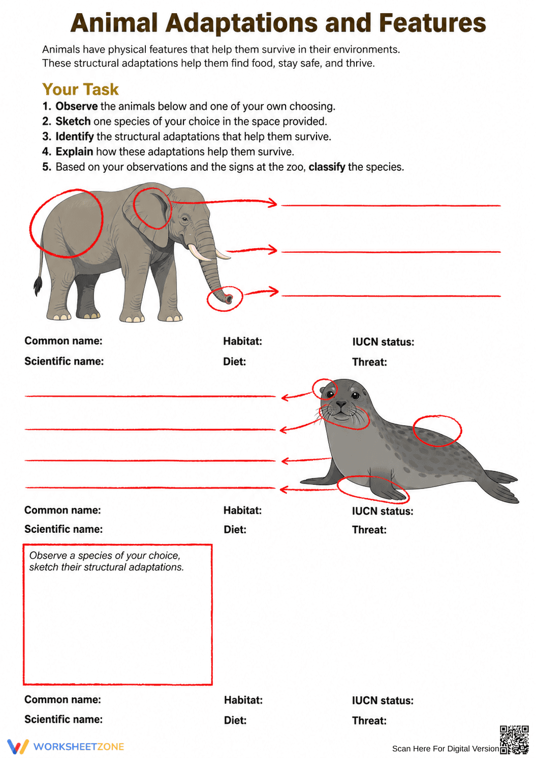 Grade 4 Animal Adaptations — Printable No-Prep Worksheet - Page 3