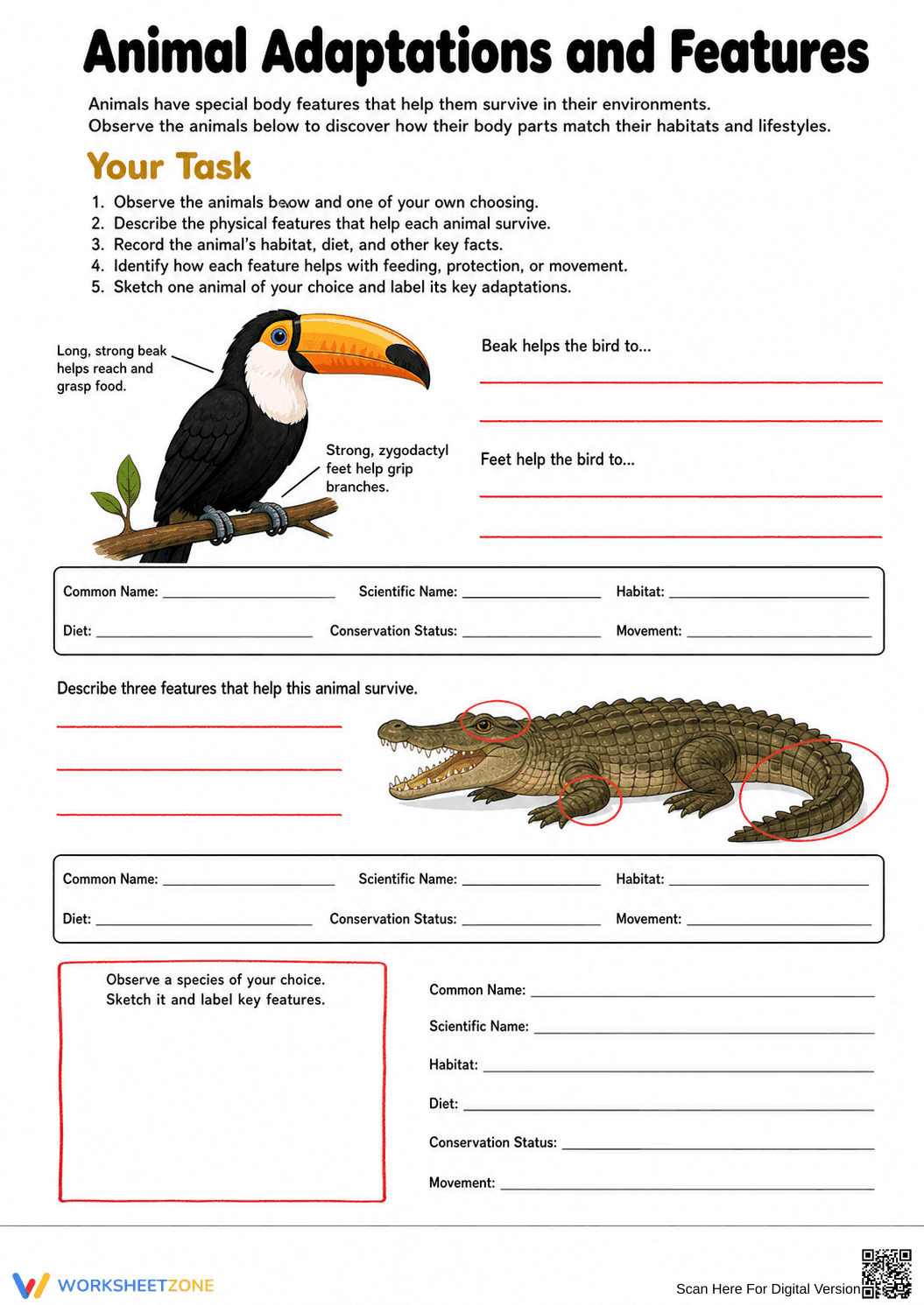 Grade 4 Animal Adaptations — Printable No-Prep Worksheet - Page 4