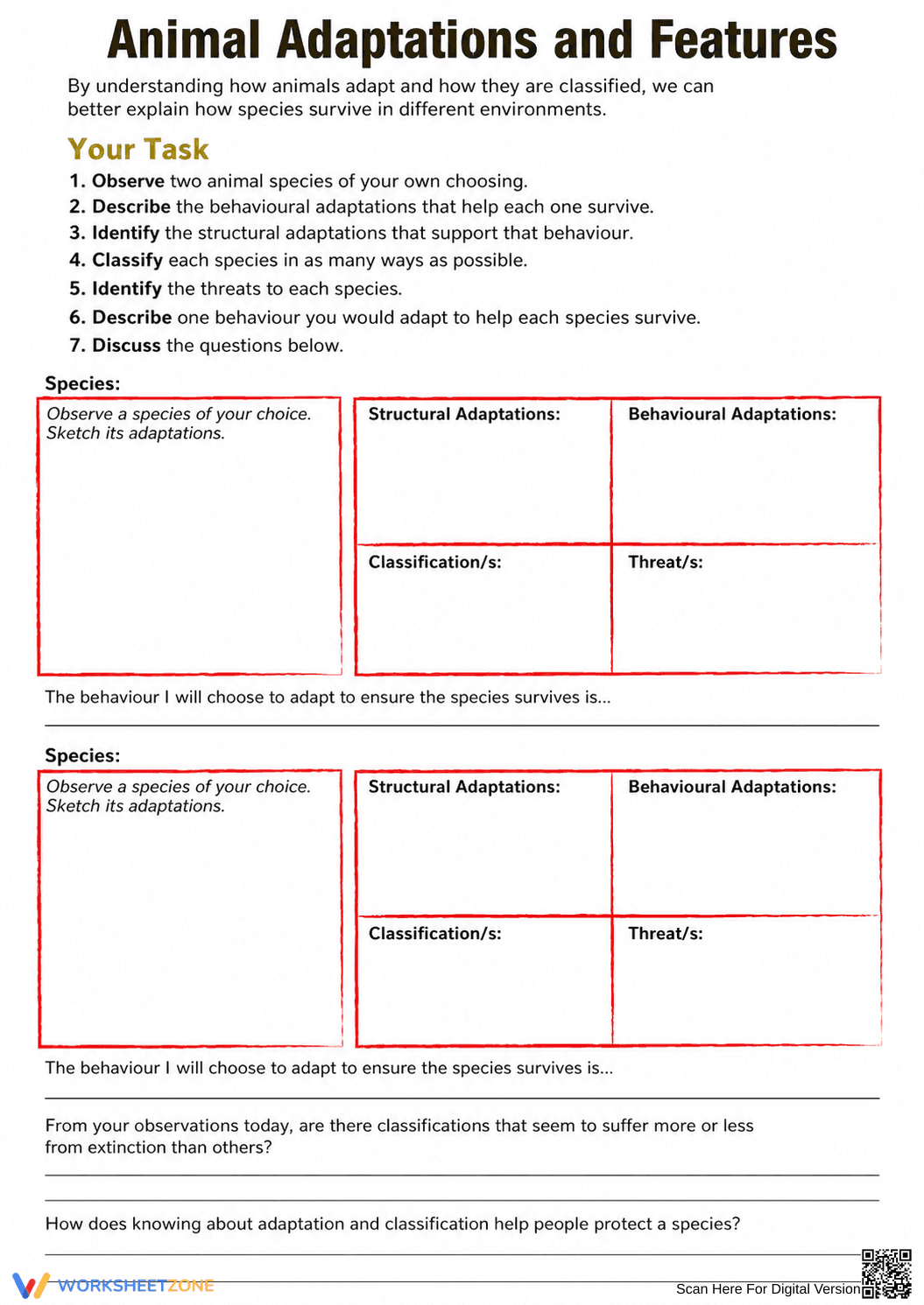 Grade 4 Animal Adaptations — Printable No-Prep Worksheet - Page 6