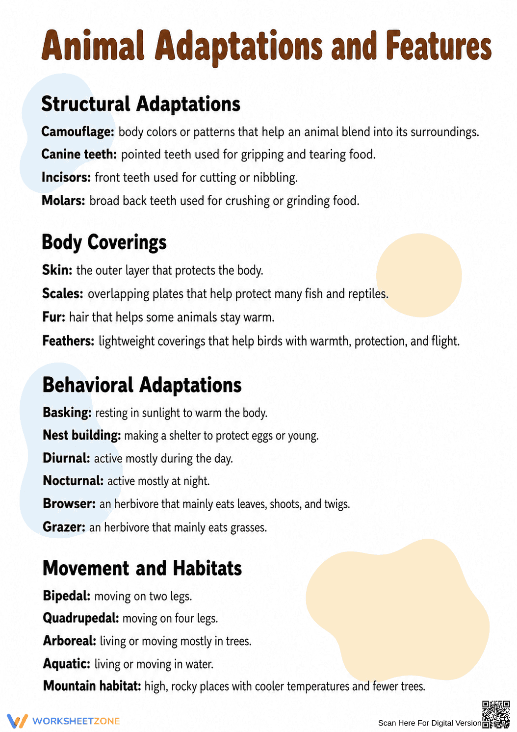 Grade 4 Animal Adaptations — Printable No-Prep Worksheet - Page 7