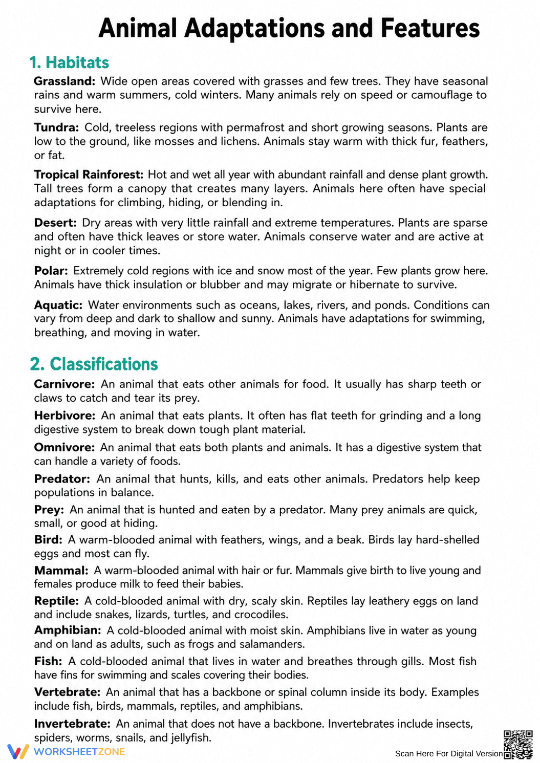 Grade 4 Animal Adaptations — Printable No-Prep Worksheet - Page 8