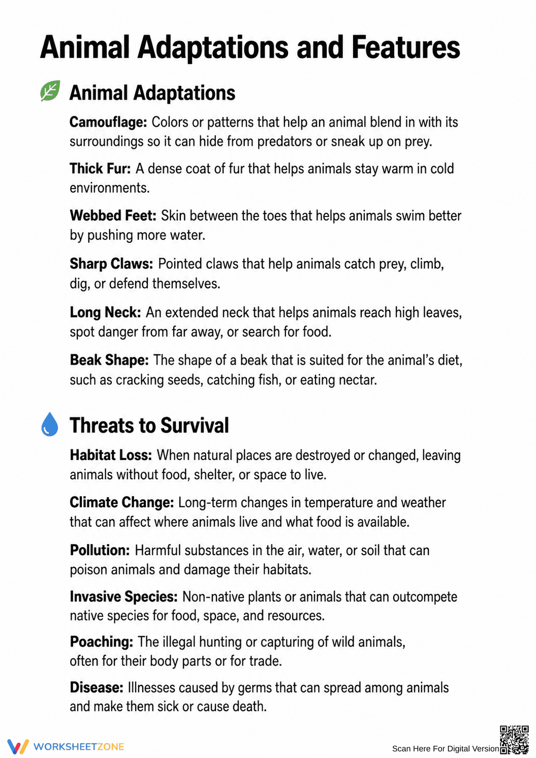 Grade 4 Animal Adaptations — Printable No-Prep Worksheet - Page 9