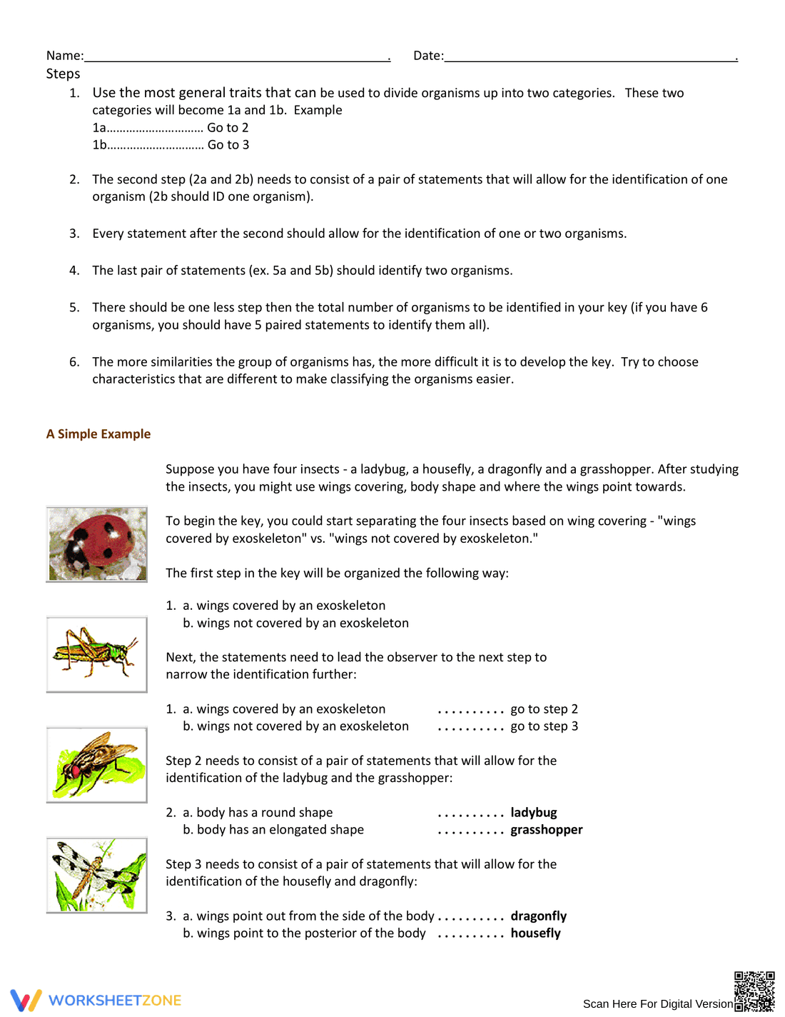 Building a Dichotomous Key | Grade 3-5 Printable Worksheet - Page 2