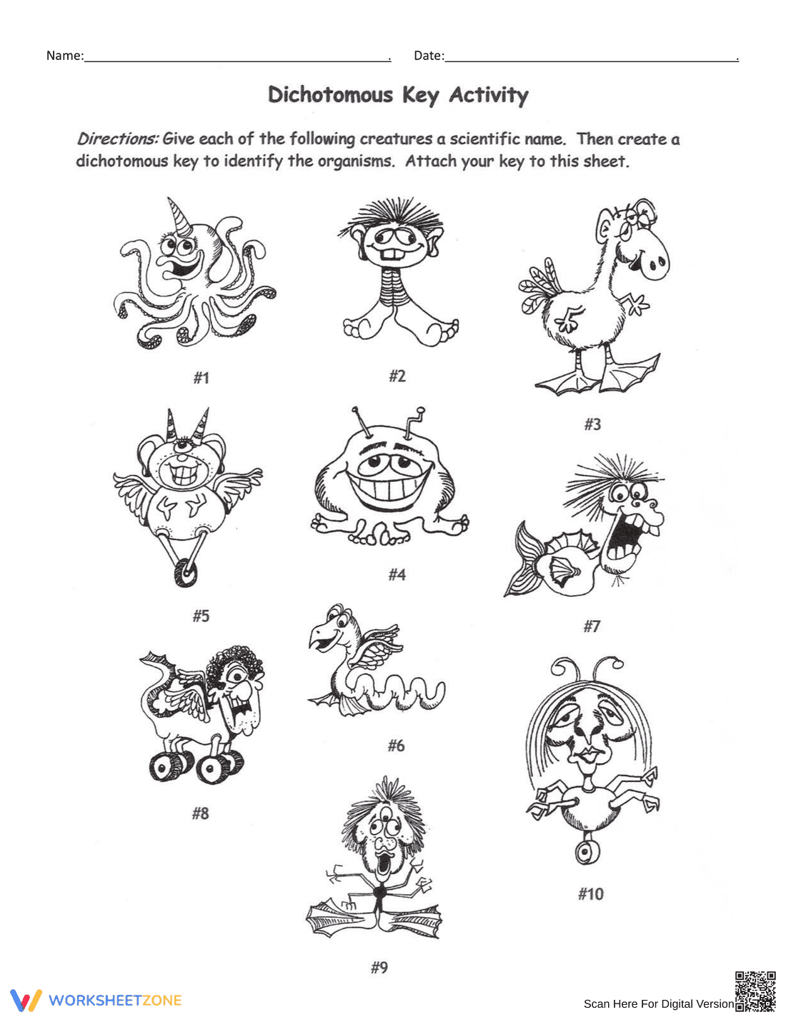 Building a Dichotomous Key | Grade 3-5 Printable Worksheet - Page 3