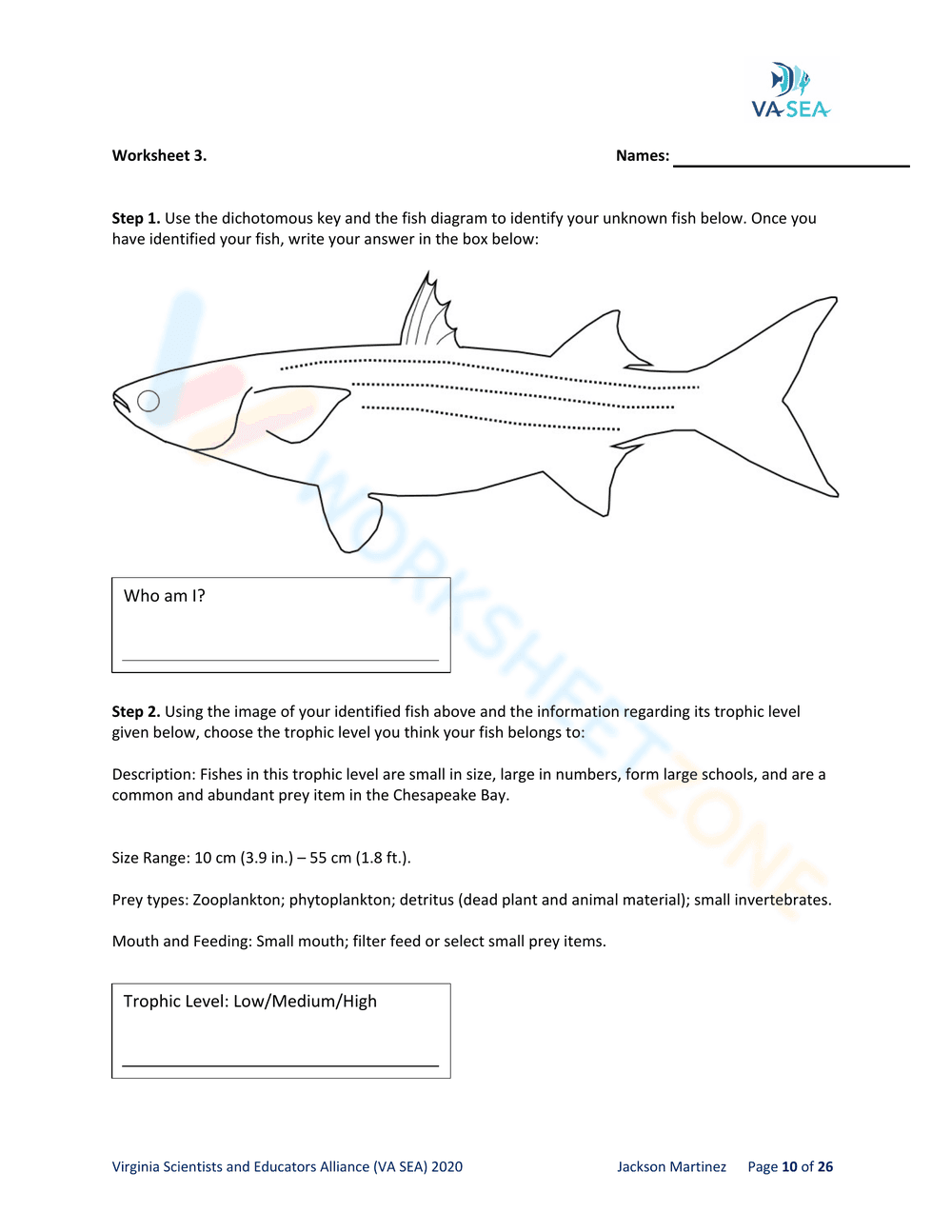 DICHOTOMOUS KEYS - AN ESSENTIAL TOOL FOR FISH DETECTIVES - Page 12