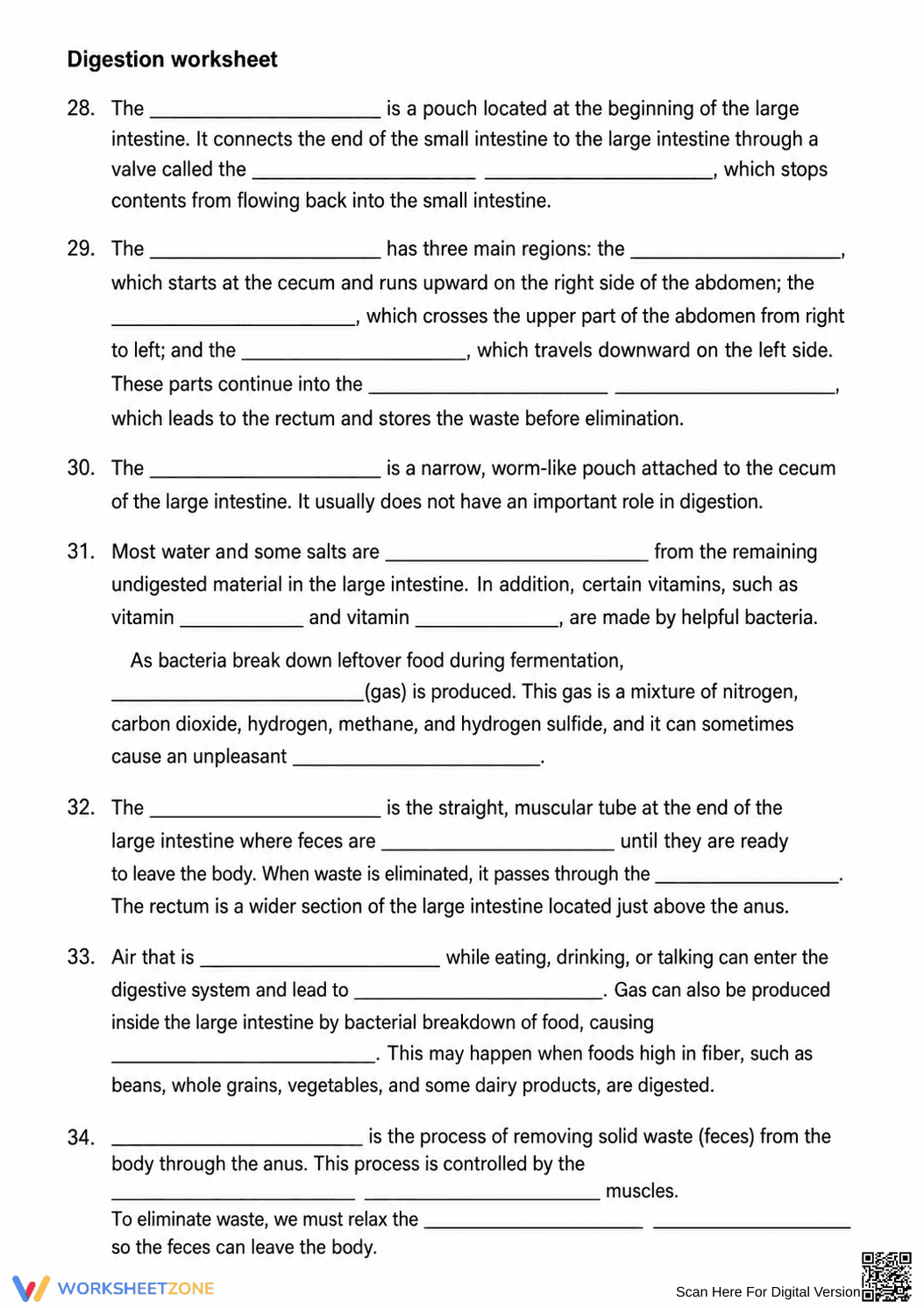 Digestive System Worksheet | Grade 6-8 Science Printable - Page 5