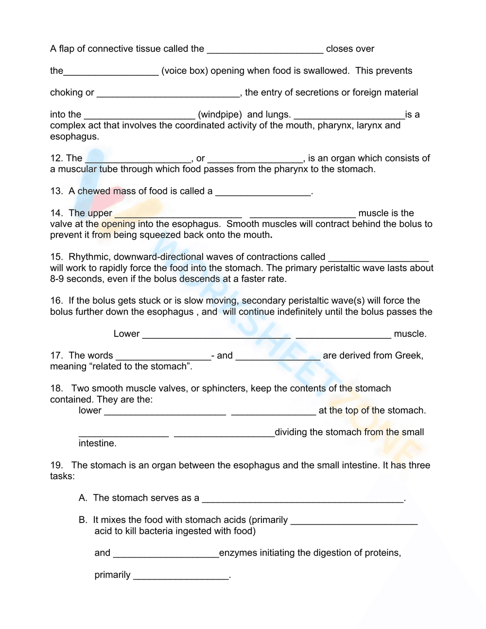 Digestion worksheet - Page 2