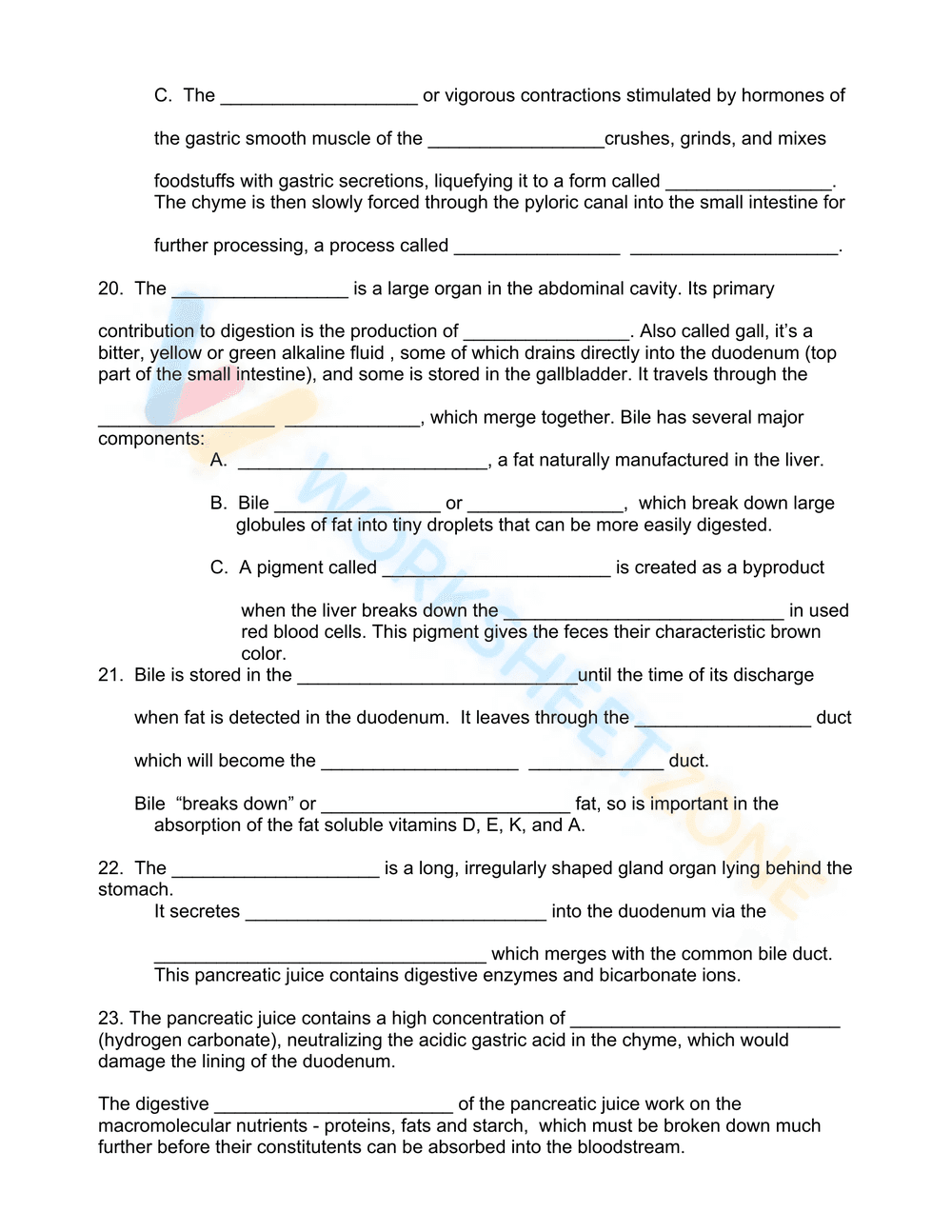 Digestion worksheet - Page 3