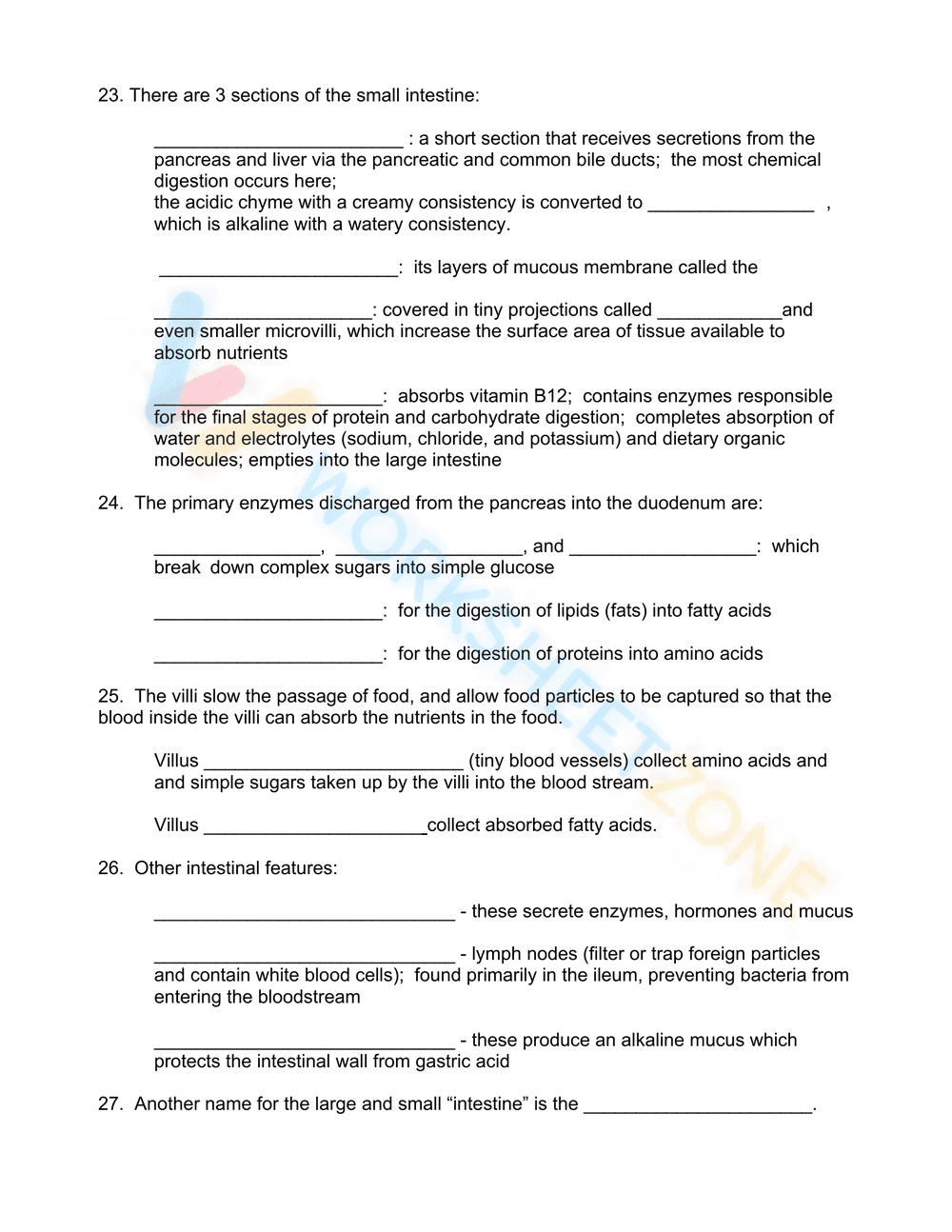 Digestion worksheet - Page 4