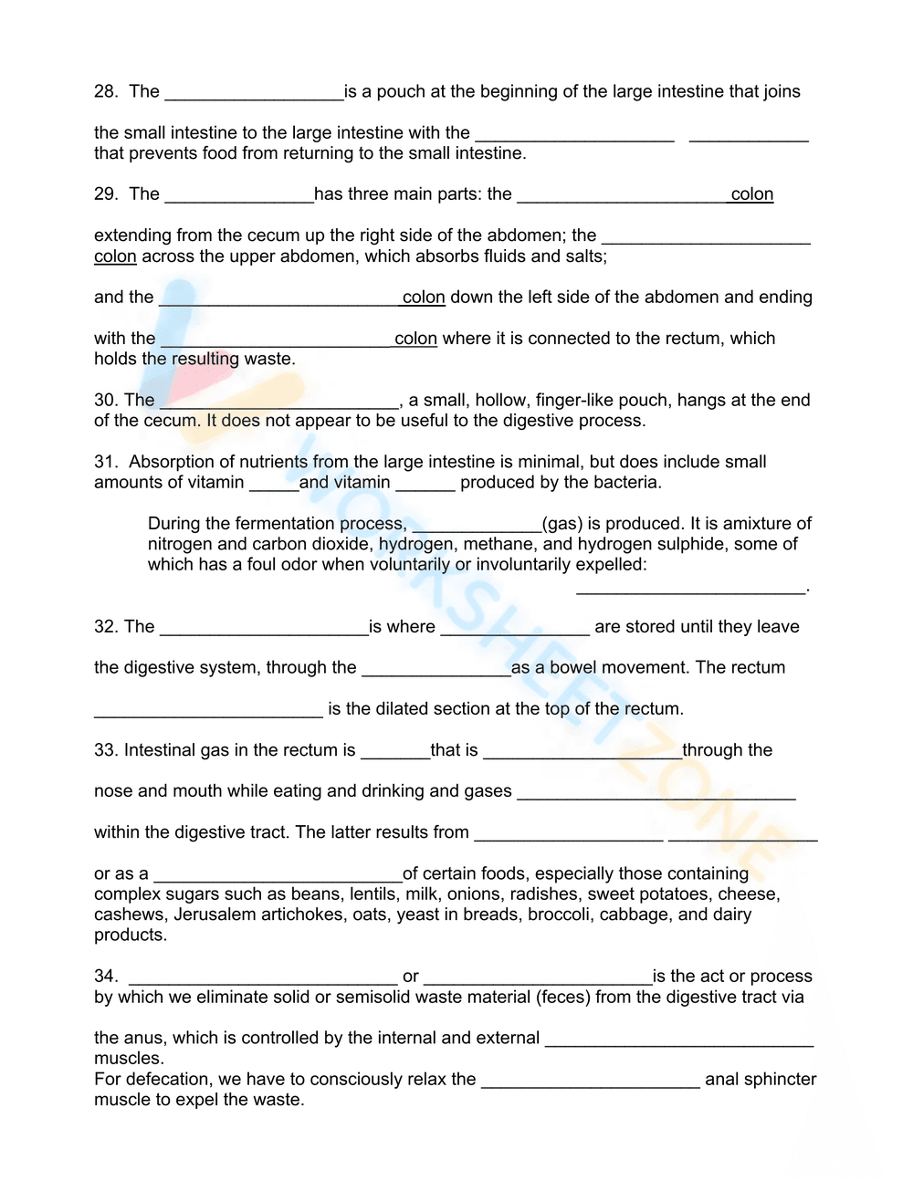 Digestion worksheet - Page 5