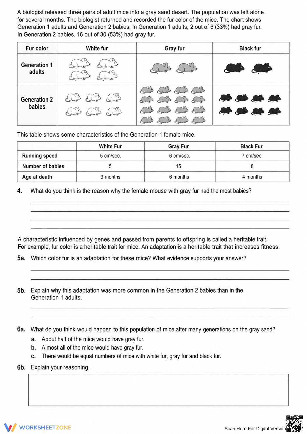 Essential Natural Selection Worksheet | Grade 7 Science - Page 2