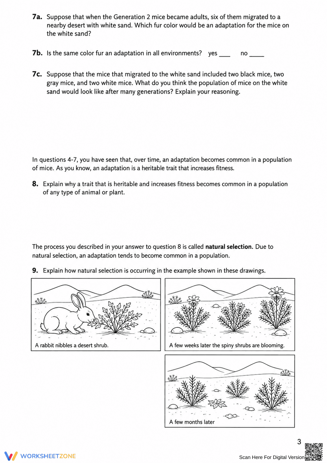 Essential Natural Selection Worksheet | Grade 7 Science - Page 3
