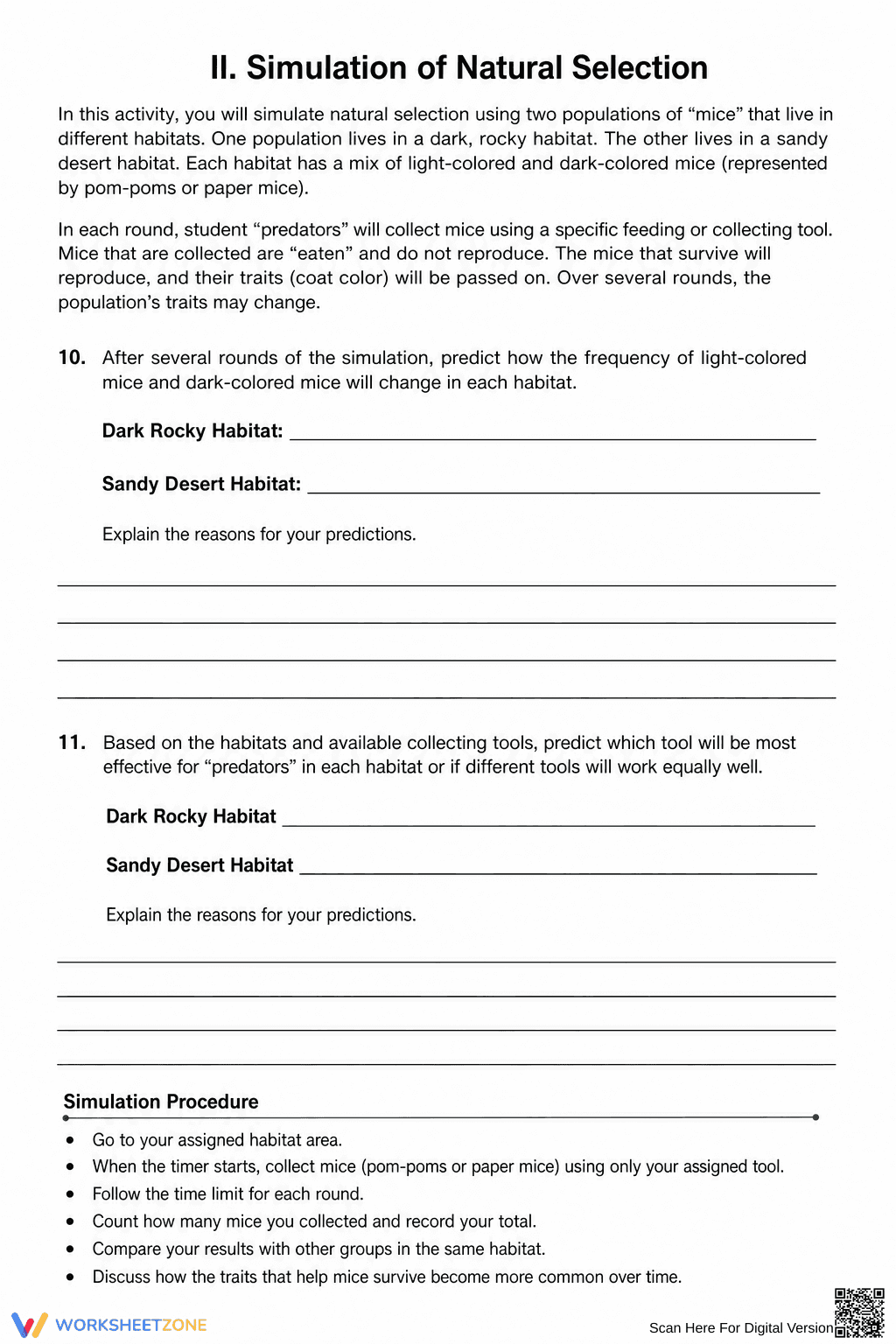 Essential Natural Selection Worksheet | Grade 7 Science - Page 4