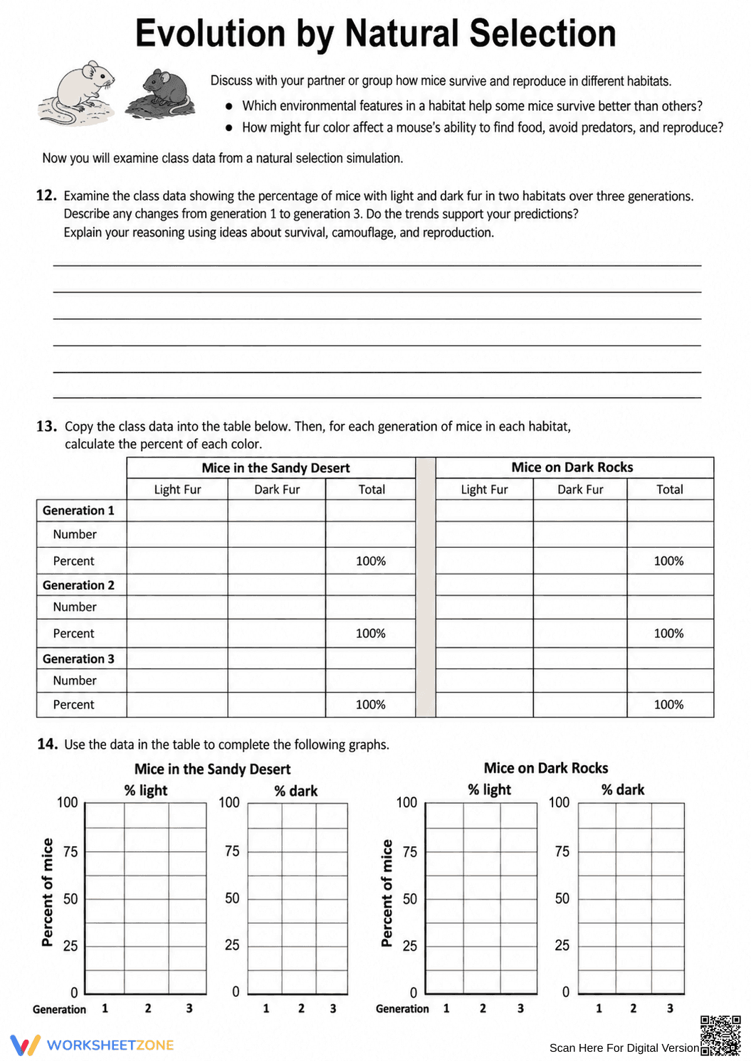 Essential Natural Selection Worksheet | Grade 7 Science - Page 5