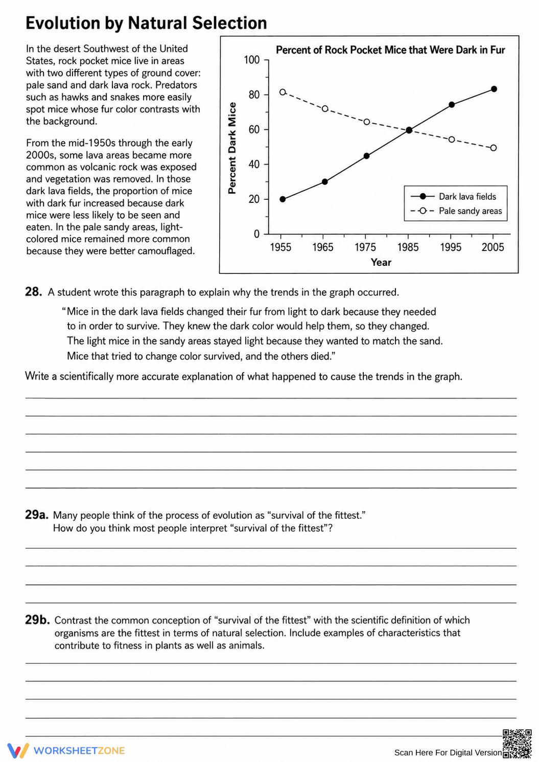 Essential Natural Selection Worksheet | Grade 7 Science - Page 11