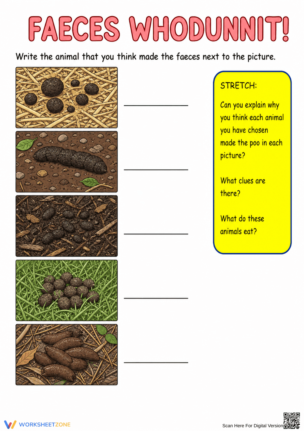 Digestive System Worksheet (3 Levels) | Grade 7 Ready - Page 2